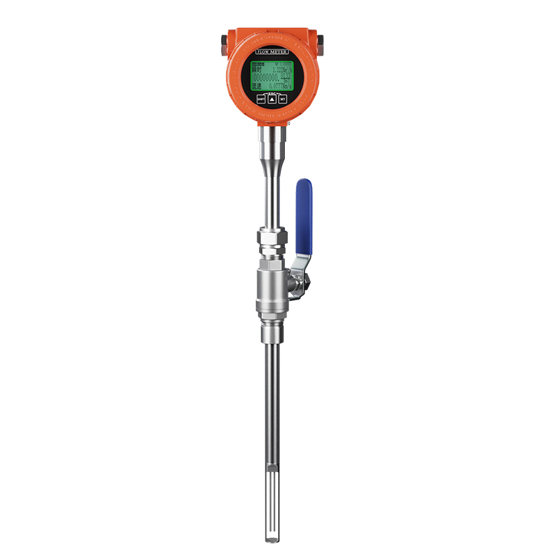 蒸汽計量顯示器：工業能源管理的智慧之眼